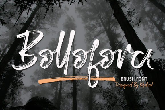 Bollofora: A Font That Brings Your Brand to Life