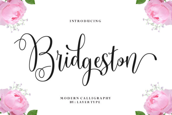 Bridgeston Font: Elegant Script for Crafts