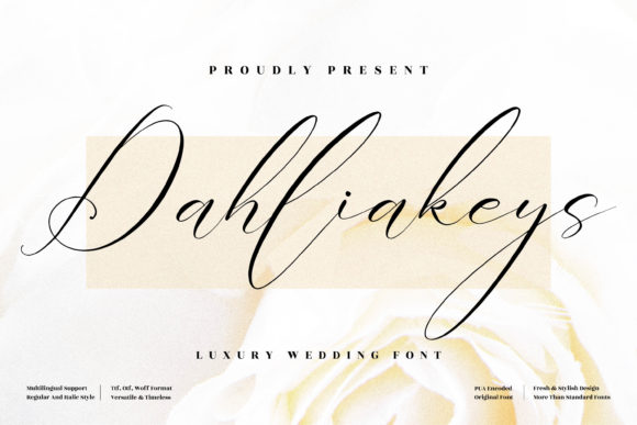 Dahliakeys: A Script Amp for Real Projects