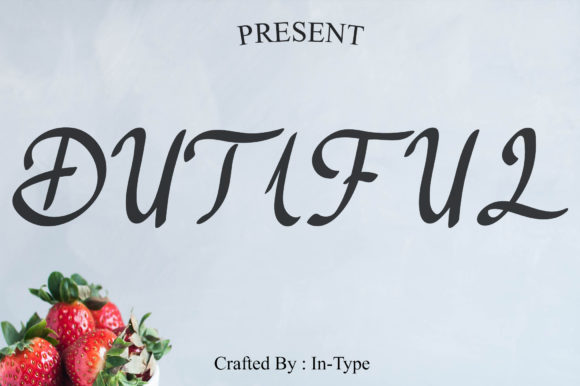 Dutiful Font Review