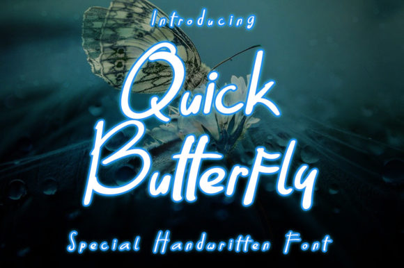 Quick Butterfly Review