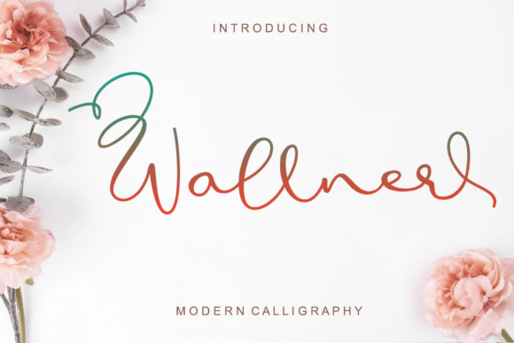 Wallner: A Playful Script Font